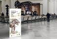 POP, Promotion, Ausstellung, Dinosaurier, Museum, Rendering