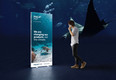 POP, Promotion, Aquarium, Klimawandel, Nachhaltigkeit, Rendering, ˜kologisch